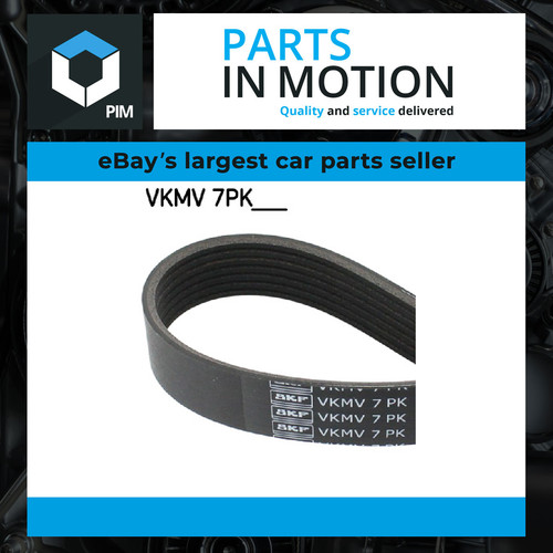 Rib multi drive belt - rib, fits