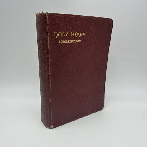 Antique holy bible illustrated - antique,