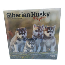 Siberian Husky Puppies | 2024