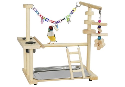 Parrot small bird - parrot, wooden