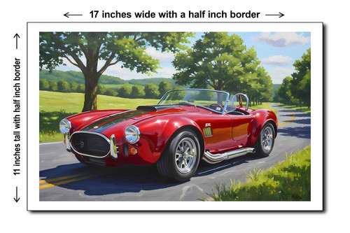 1966 shelby cobra - 1966,