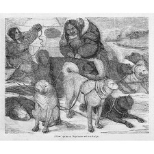 Eskimo Dogs Harnessed to a