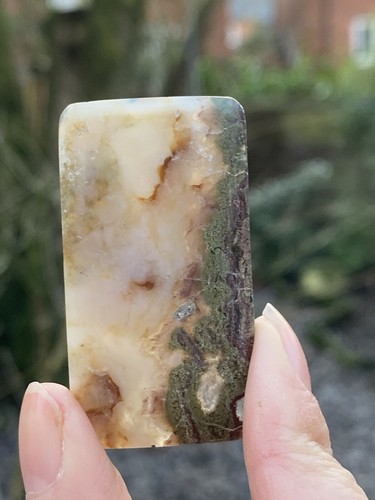 Rare green moss - rare,
