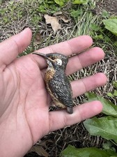 Life-Like Antique Austrian