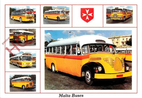 Picture postcard malta - postcard:, buses