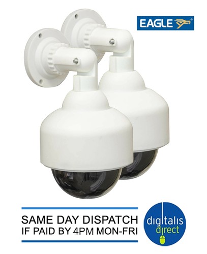 Eagle dummy dome security - dome,