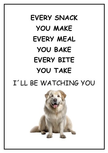 Pyrenean mountain dog - , i’ll