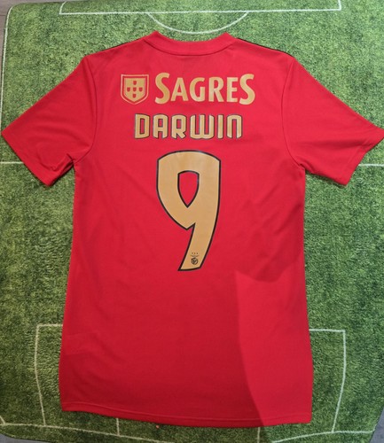 Darwin nunez benfica 2020 - nunez,