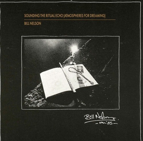 Bill nelson sounding the - nelson,