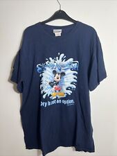 Vintage Disney Splash Mountain