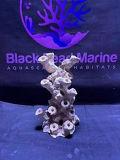 Ceramic Reef Rock Frag Pillar