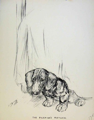 Original old antique - antique, dog