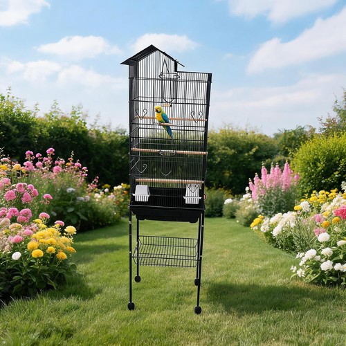 Large bird cage - bird,