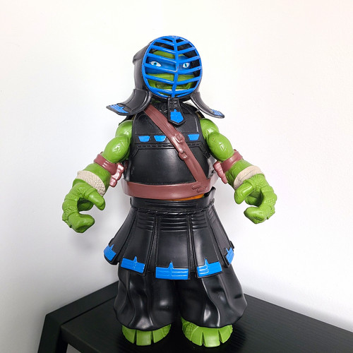 Teenage mutant ninja - mutant,