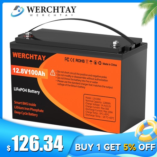 12v 100ah lifepo4 - 100ah,