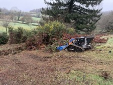 Irus Deltrac 2.0 Remote Flail