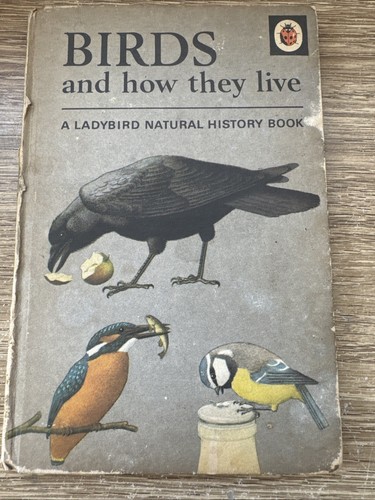 Ladybird book series - ladybird, birds