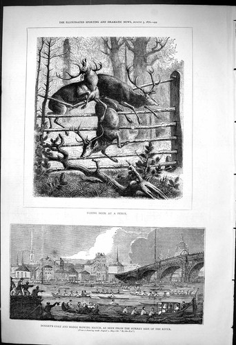 Old 1876 flying deer - flying, fence