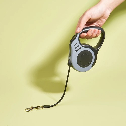 Retractable dog lead - dog,