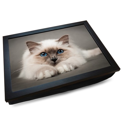 Deluxe cushioned lap - cushioned, tray