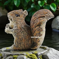Squirrel With Acorn Garden