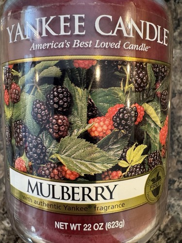 Very rare mulberry yankee - very,