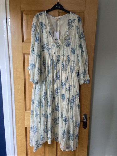 Talisman lined wisteria - m/l,