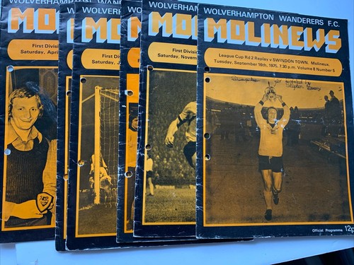 Wolverhampton wanderers match - wanderers,