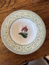 rhs applebee collection 23cm