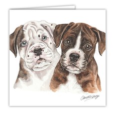 Boxer puppies greetings card