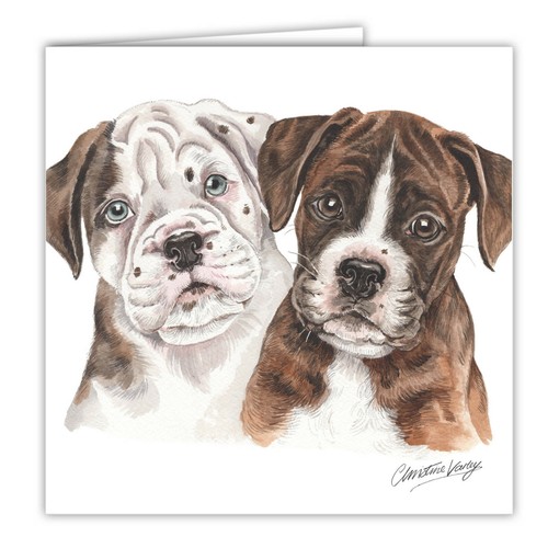 Boxer puppies greetings card