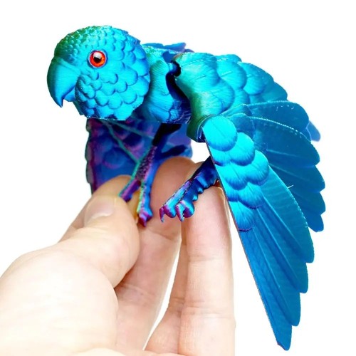 Printed parrot bird - 3d,