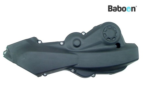 Cam chain cover - cam, ducati