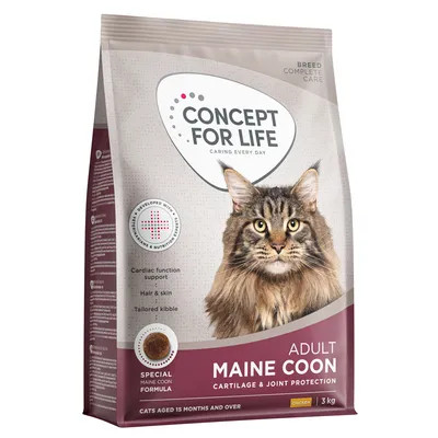 Concept for life - for,