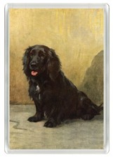 FIELD SPANIEL LOVELY DOG ART
