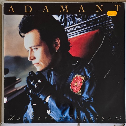 Adam ant and - ant, the