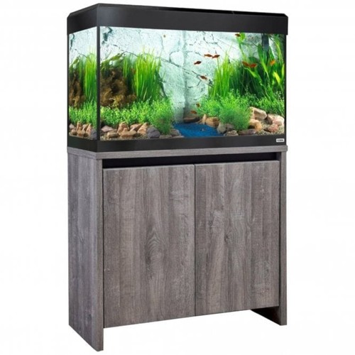 Fluval roma 125 - roma, bt