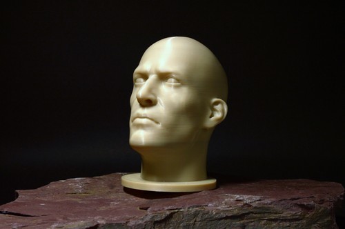 Male realistic head bust - realistic,