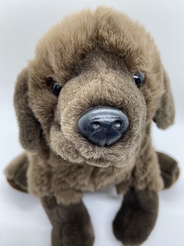 Brown puppy dog - brown,