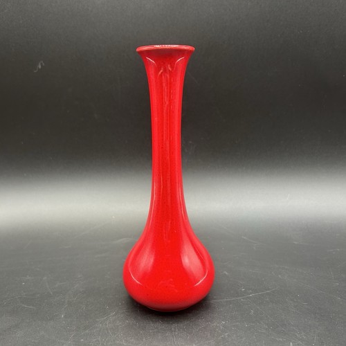 Beautiful small bright red - bright,