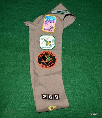 Vintage girl scout - vintage,
