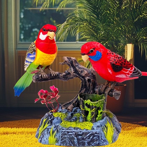 Talking parrots recording - talking,