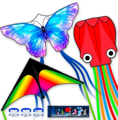 Piece set butterfly delta - butterfly,