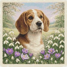 Beagle Puppy Dog In Spring