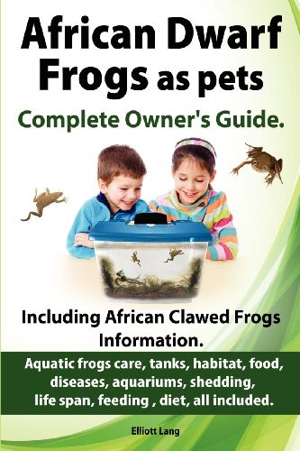 African dwarf frogs - african, pets