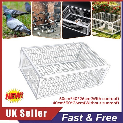Pigeon trap cage - one, way
