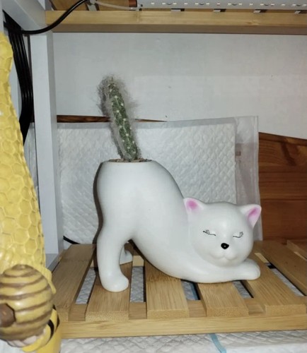 Cat shaped decorative vase - cat,