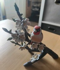 RSPB Franklin Mint European