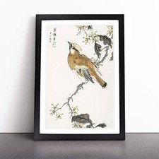 Waxwing Bird & Yellow Flowers