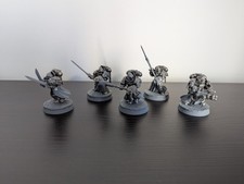 Grey Knights Kill Team